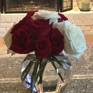 Meet your Posher, Vicki